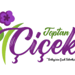 Toptan Çiçek Al: CRM Entegre E-Ticaret Platformu ve SEO ile Büyük Başarı